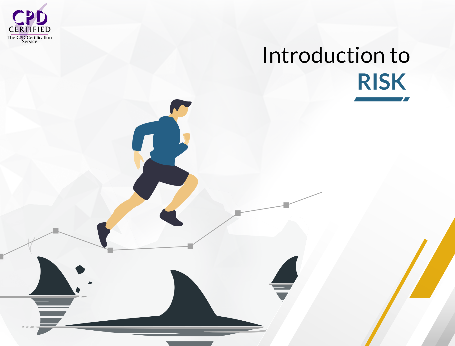 PH01401 - Introduction to Risk